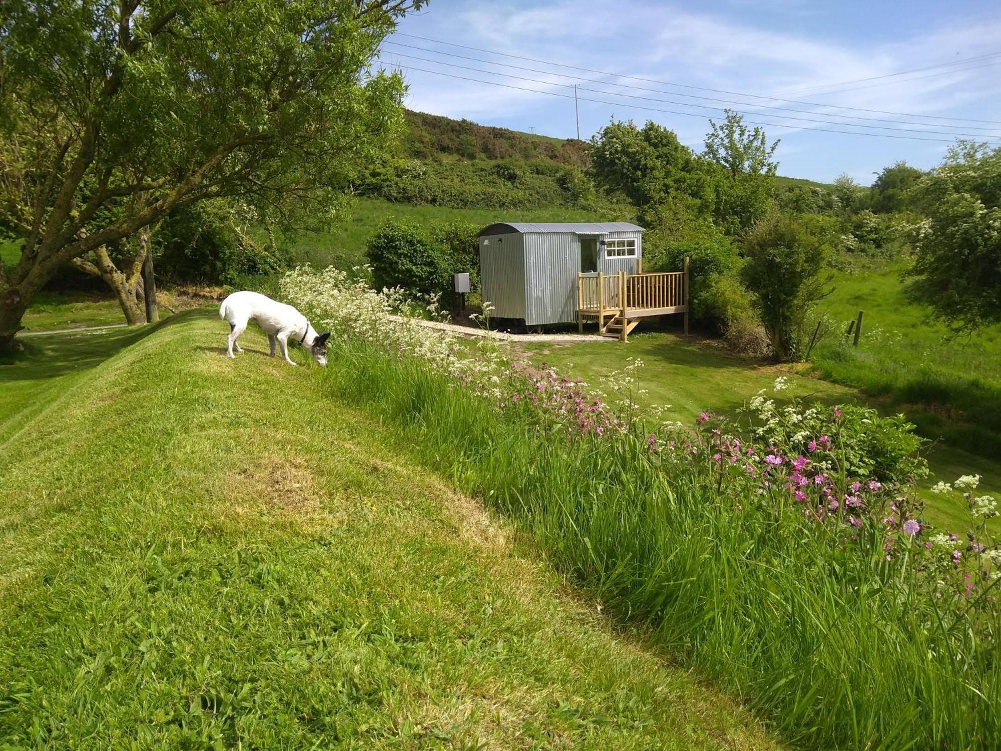 Shepherds Hut Weymouth Exterior photo